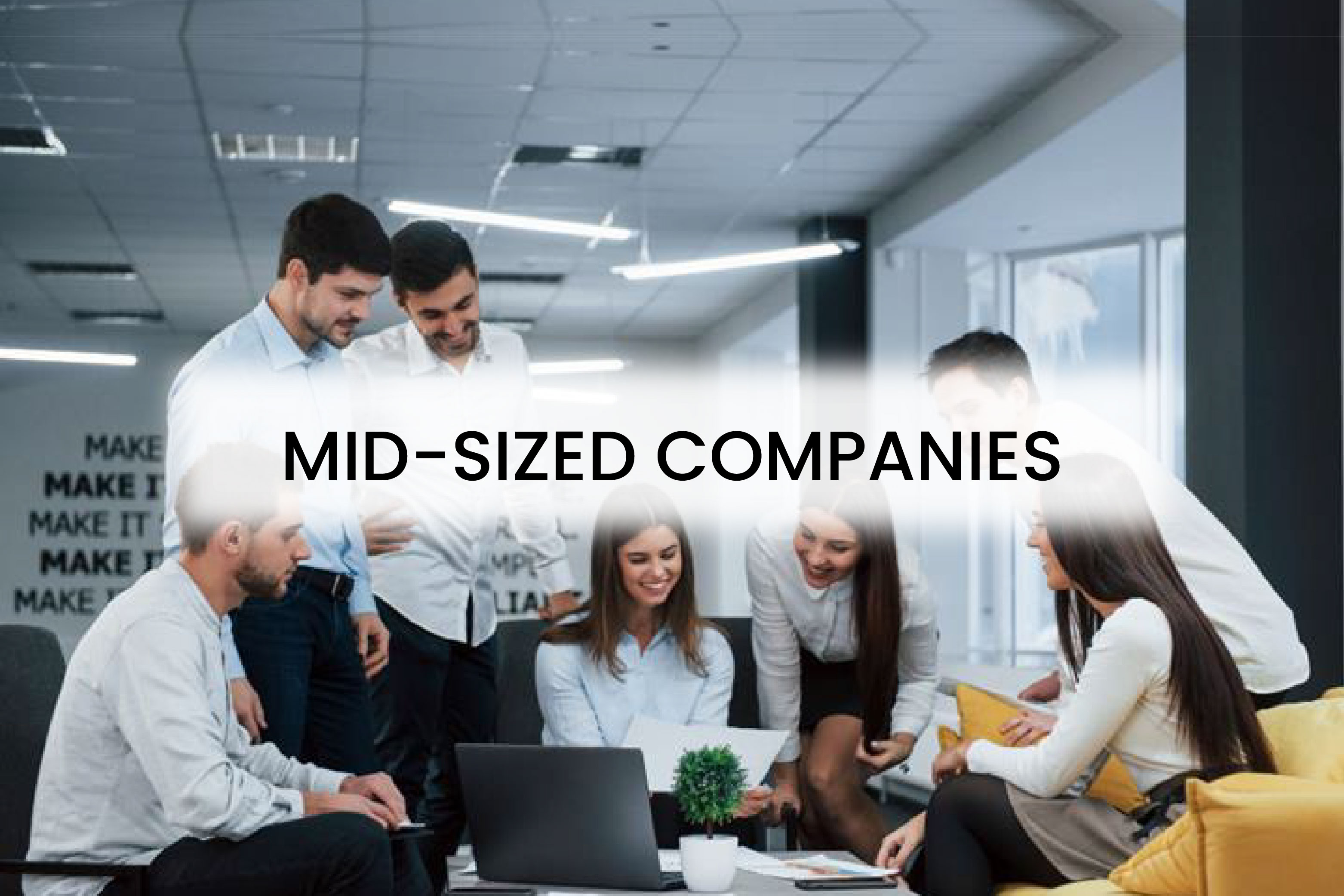 mid-sized-companies-case-study